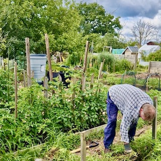 Ged working on the allotment, New Era Community Projects